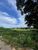 Terreno, 752 m² - Foto 2