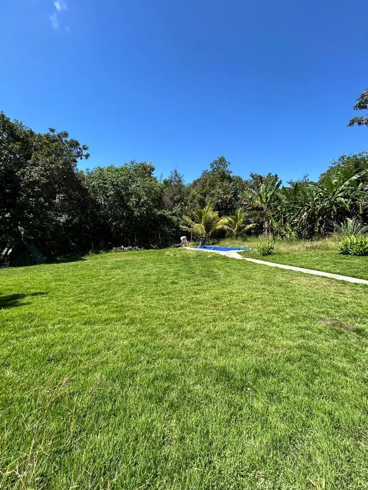 Chácara, 2 quartos, 1 hectares - Foto 10
