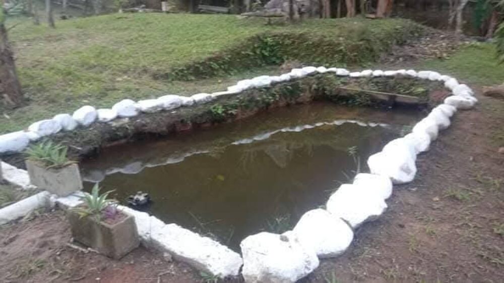 Chácara, 2 quartos, 2000 m² - Foto 6