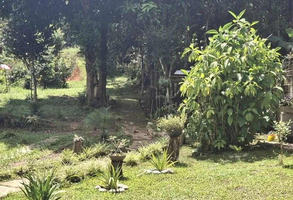 Chácara, 2 quartos, 2000 m² - Foto 3