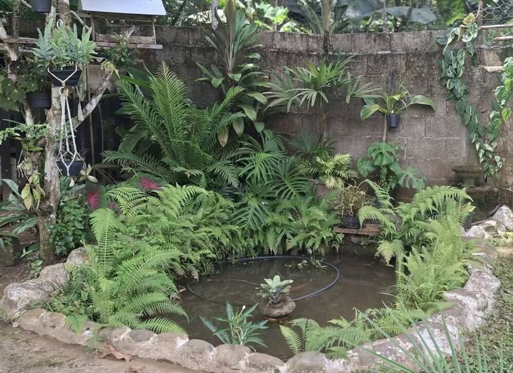 Chácara, 2 quartos, 2000 m² - Foto 2