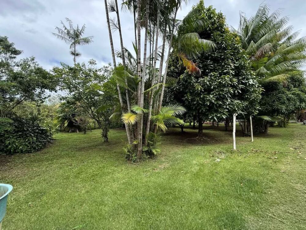 Chácara, 3 quartos, 5600 m² - Foto 3
