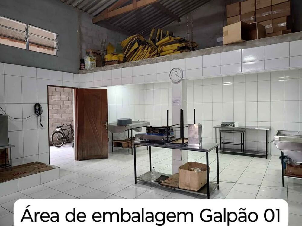 Chácara, 3 quartos, 3000 m² - Foto 9