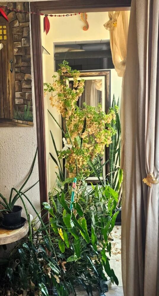 Apartamento, 3 quartos, 96 m² - Foto 13
