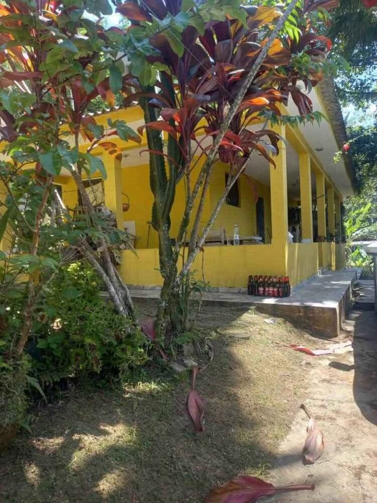 Chácara, 2 quartos, 2 hectares - Foto 1