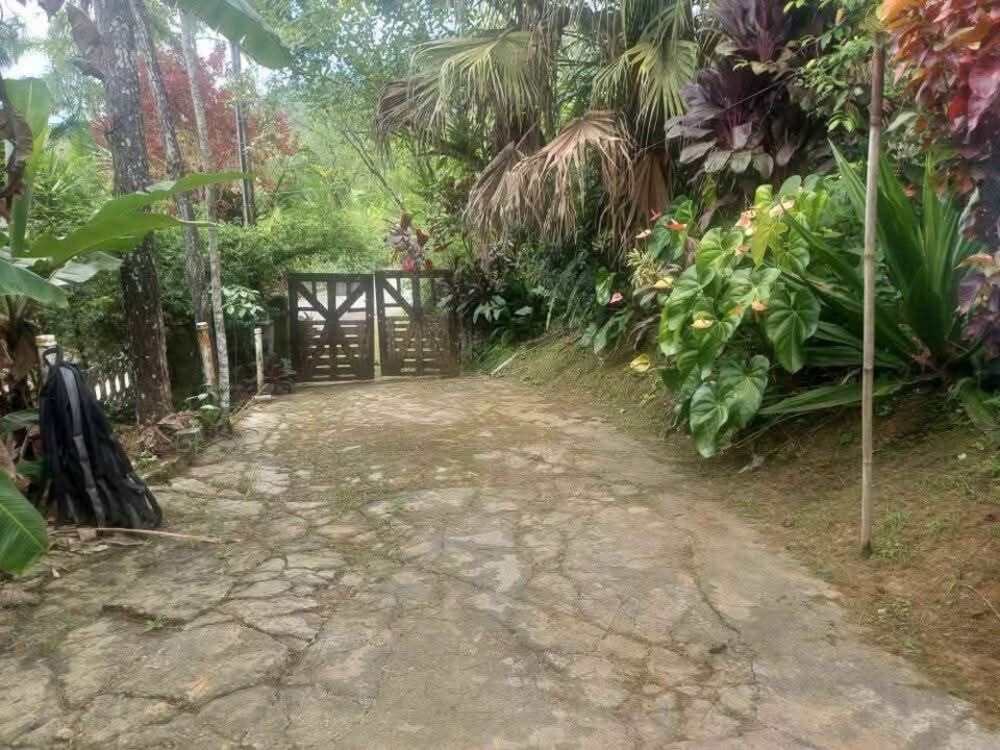 Chácara, 2 quartos, 2 hectares - Foto 8