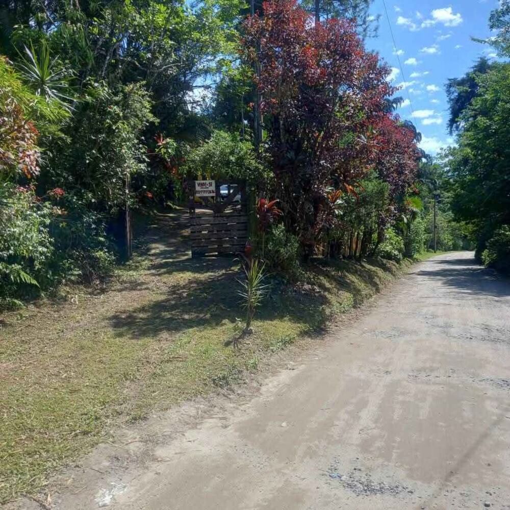 Chácara, 2 quartos, 2 hectares - Foto 6