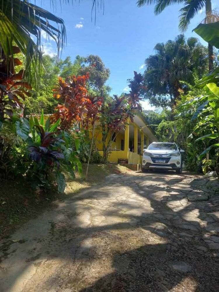 Chácara, 2 quartos, 2 hectares - Foto 7