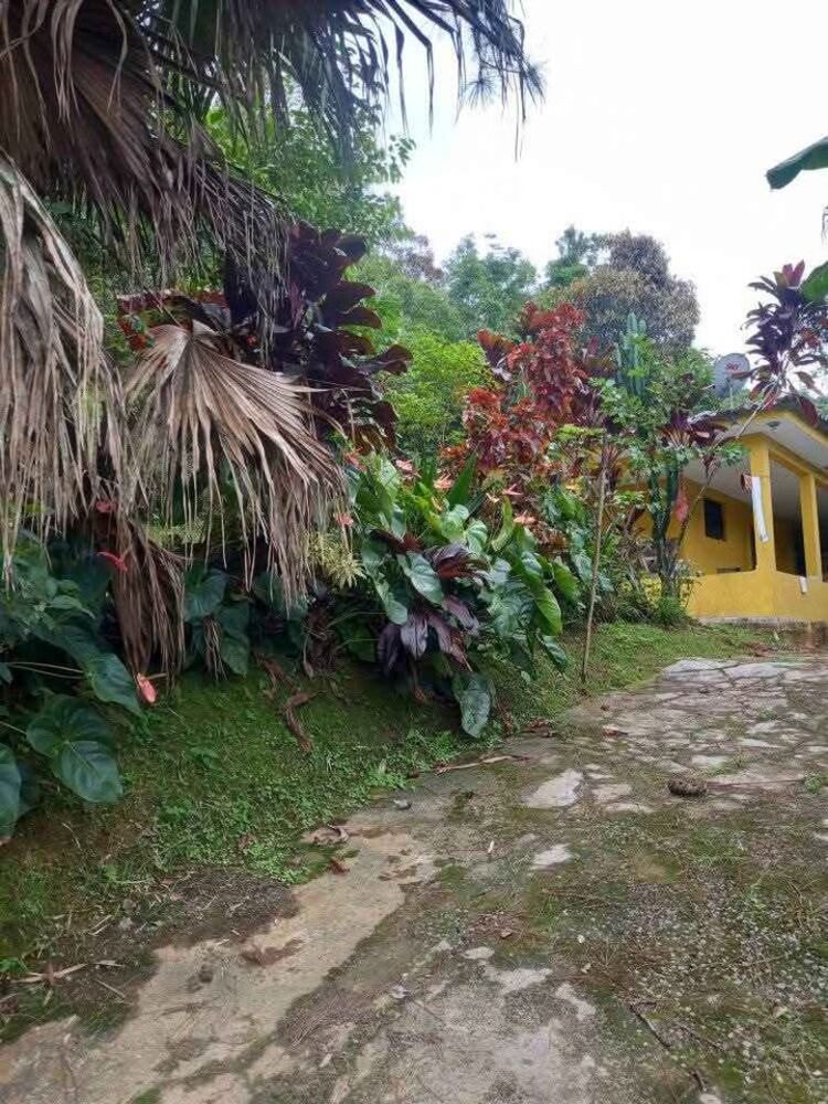 Chácara, 2 quartos, 2 hectares - Foto 3