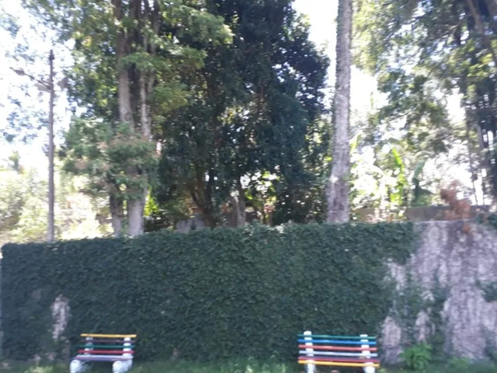 Terreno, 1000 m² - Foto 3