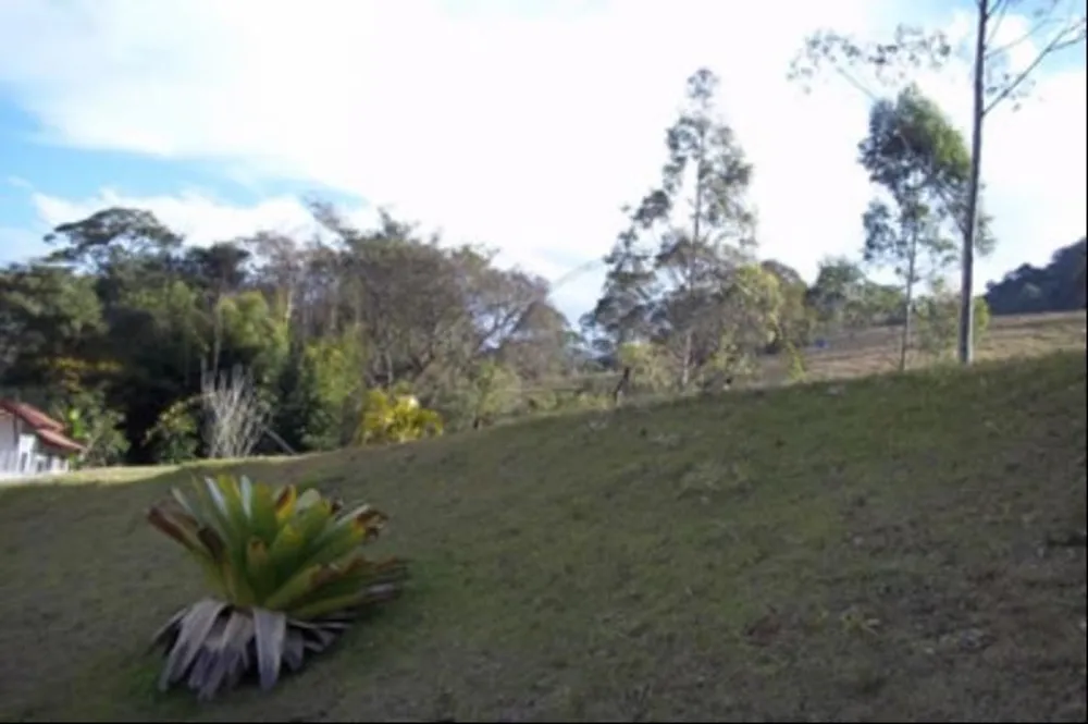 Chácara, 12 quartos, 24 hectares - Foto 4