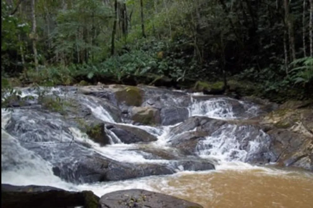 Chácara, 12 quartos, 24 hectares - Foto 1