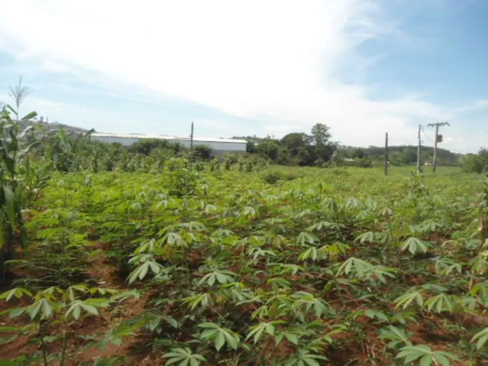 Terreno, 7 hectares - Foto 3