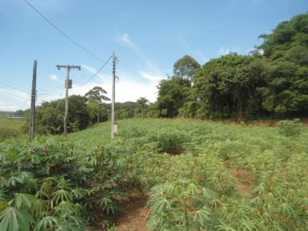 Terreno, 7 hectares - Foto 4