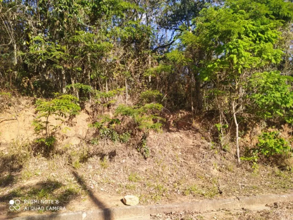 Terreno, 1000 m² - Foto 1