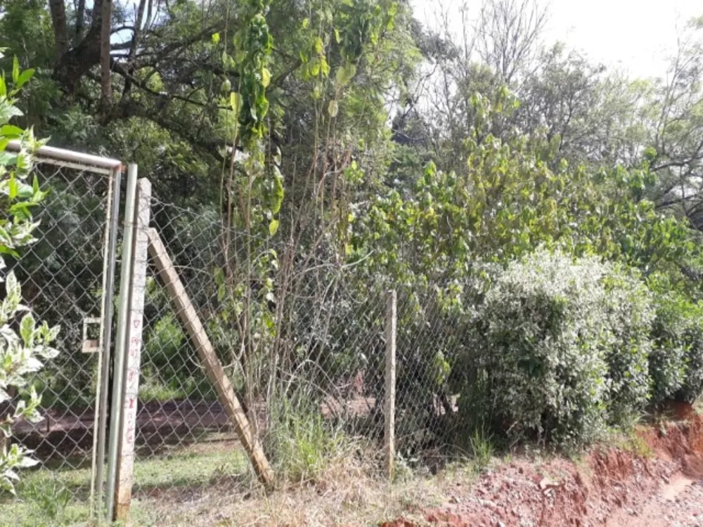 Casa, 5 quartos, 350 m² - Foto 4