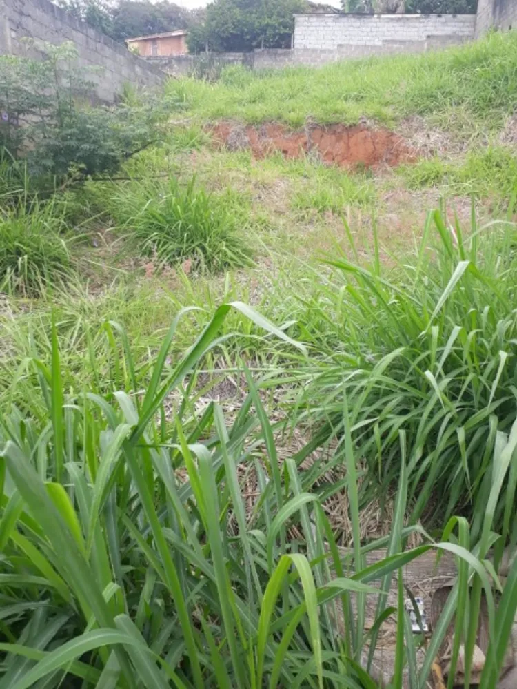 Terreno, 330 m² - Foto 4