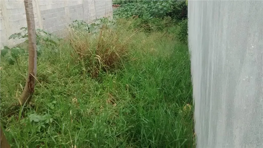 Terreno, 150 m² - Foto 2