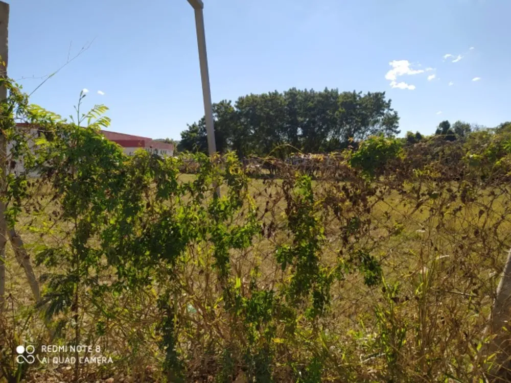 Loteamento e Condomínio - Foto 3