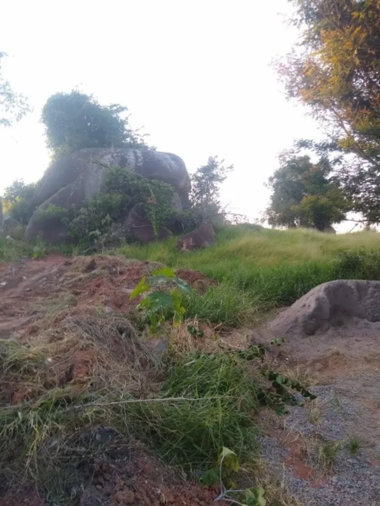 Terreno, 1320 m² - Foto 4