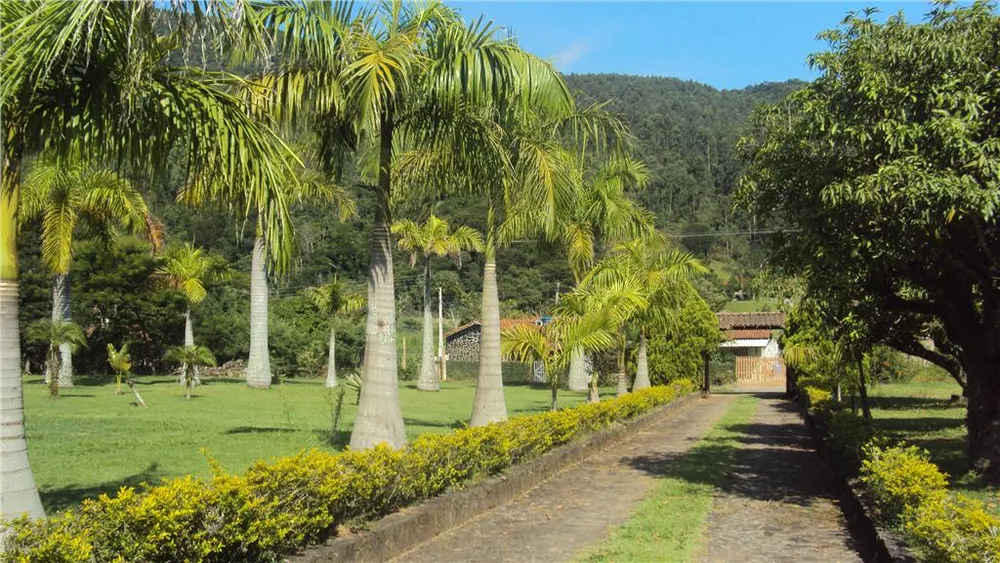 Fazenda, 12 hectares - Foto 4