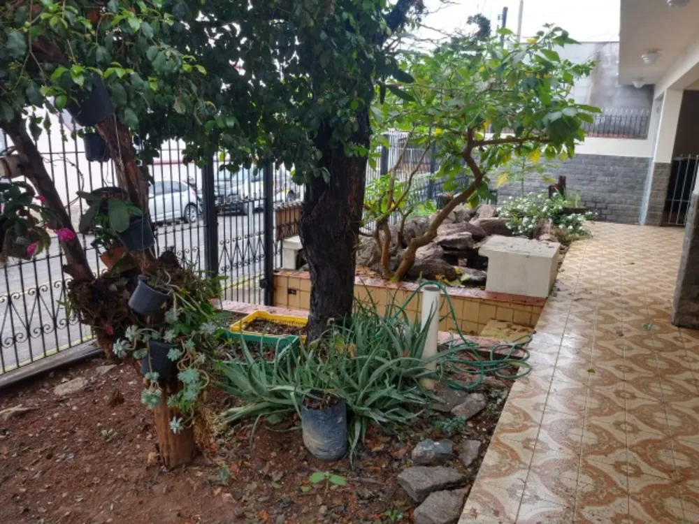 Casa, 5 quartos, 490 m² - Foto 1