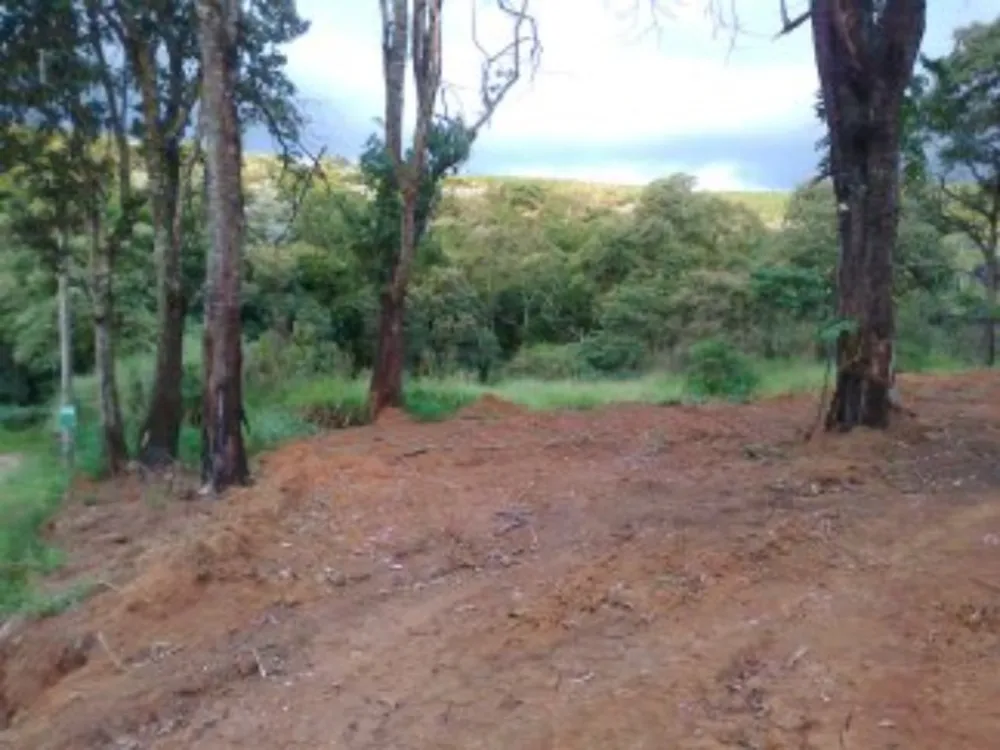 Terreno, 1000 m² - Foto 4