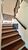 Casa, 4 quartos, 275 m² - Foto 4