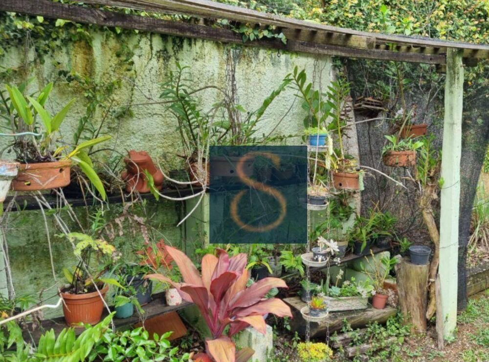 Chácara à venda com 3 quartos, 3900M2 - Foto 4