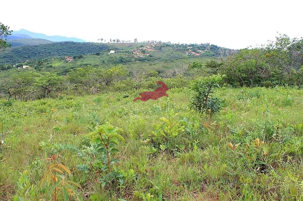 Terreno à venda, 360m² - Foto 3