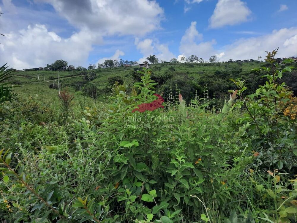 Terreno à venda, 360m² - Foto 4