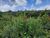 Terreno, 360 m² - Foto 4