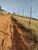 Terreno, 500 m² - Foto 4