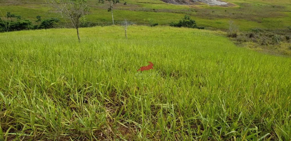 Fazenda à venda com 4 quartos, 968m² - Foto 2