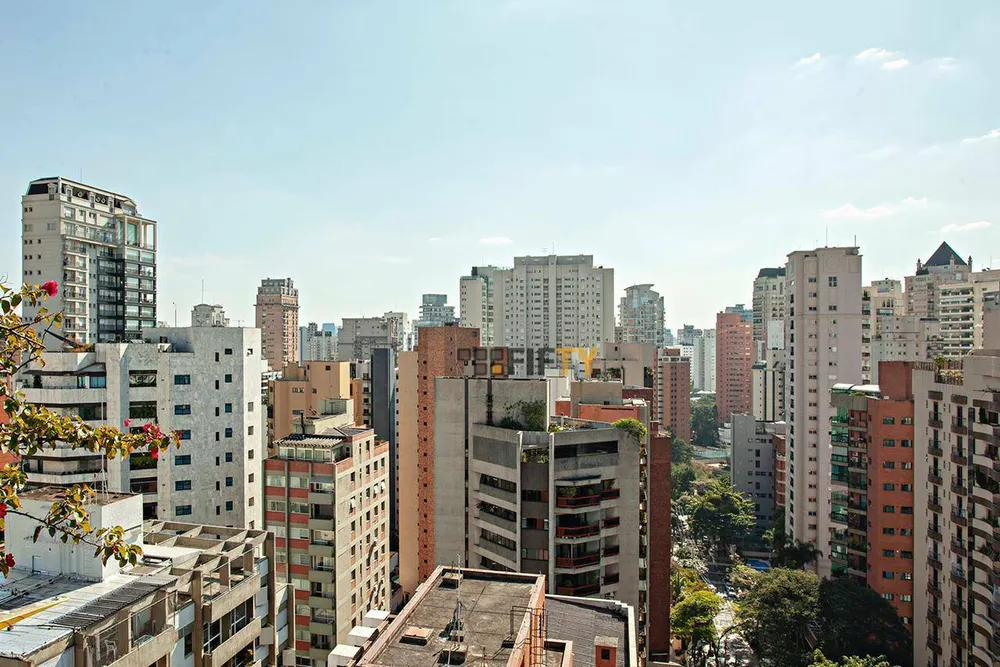 Apartamento, 4 quartos, 260 m² - Foto 4