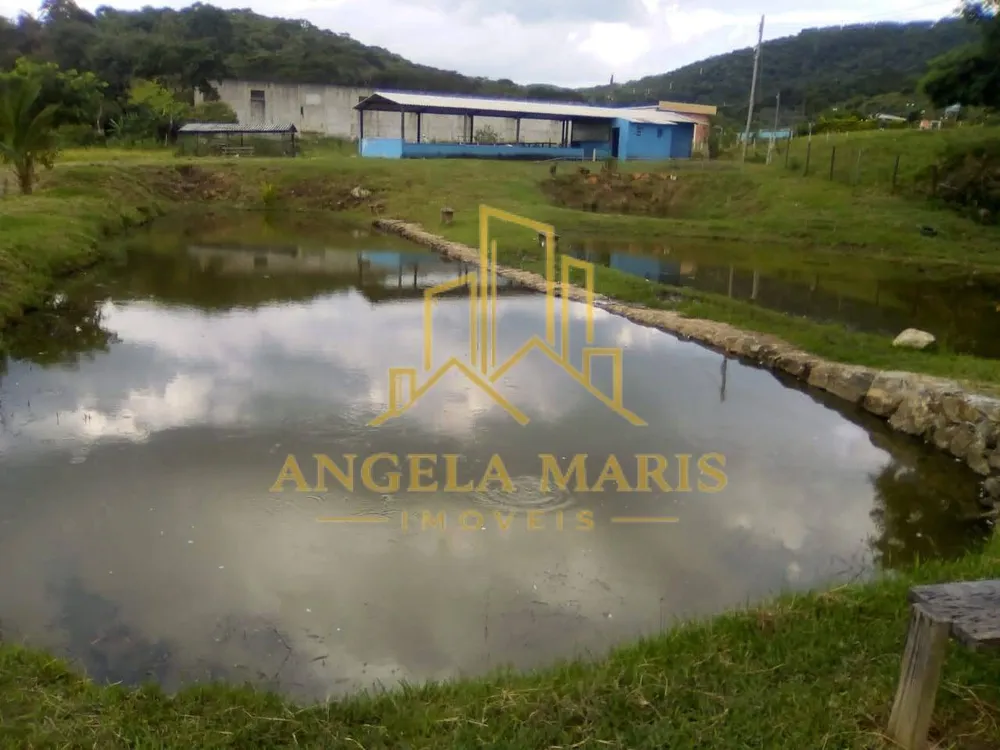 Chácara, 3 quartos, 1 hectares - Foto 1