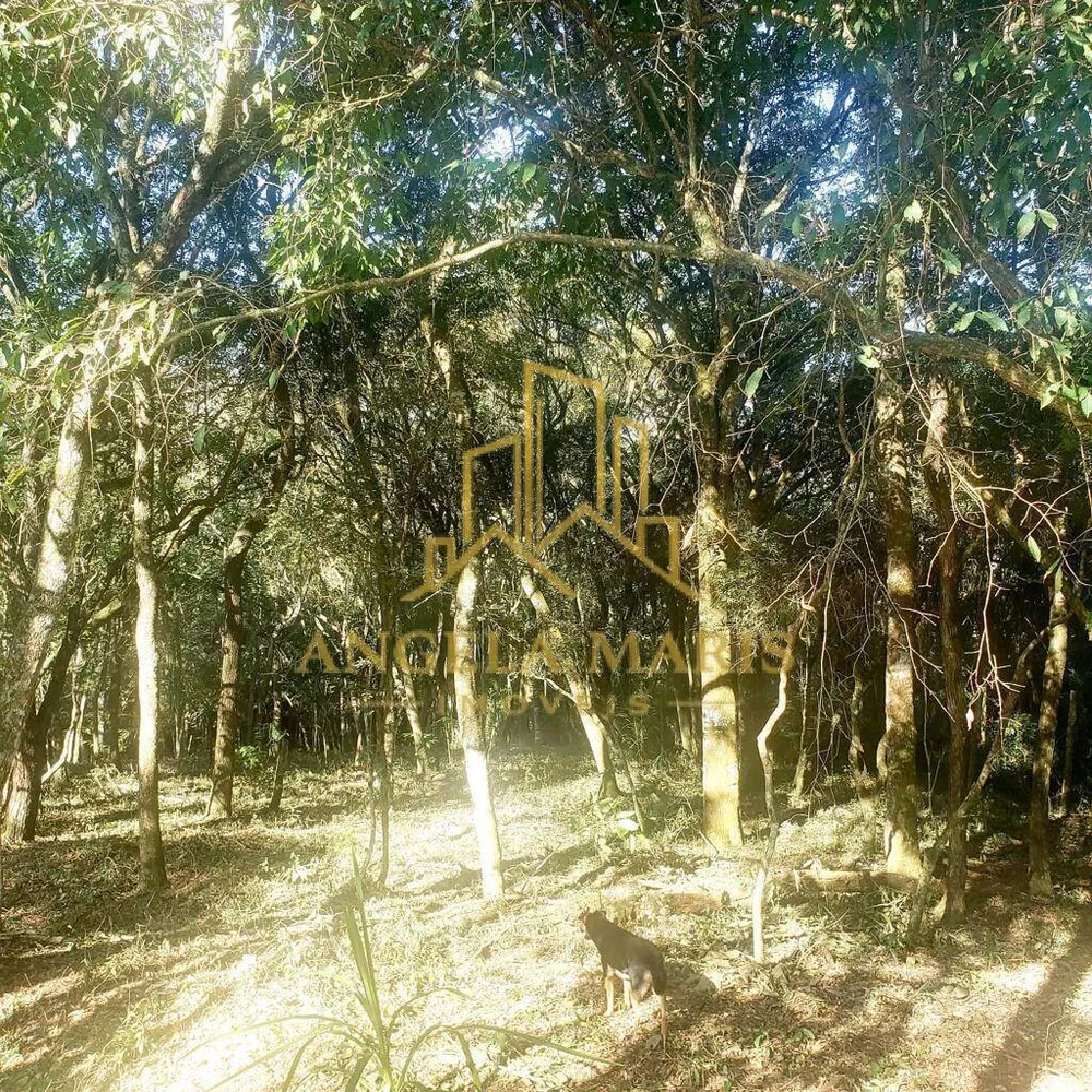 Sítio, 3 quartos, 2 hectares - Foto 18