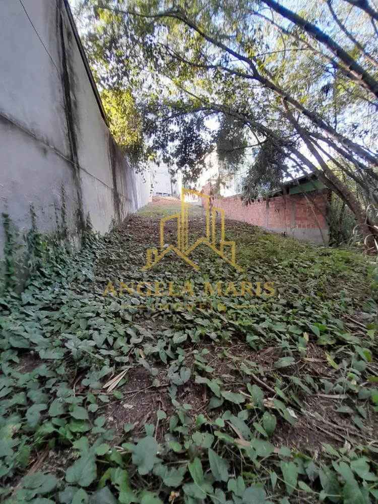 Terreno, 303 m² - Foto 1
