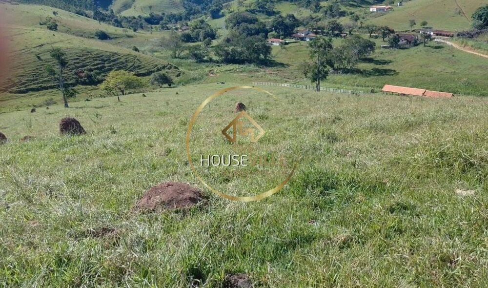 Chácara à venda com 2 quartos, 12000m² - Foto 4