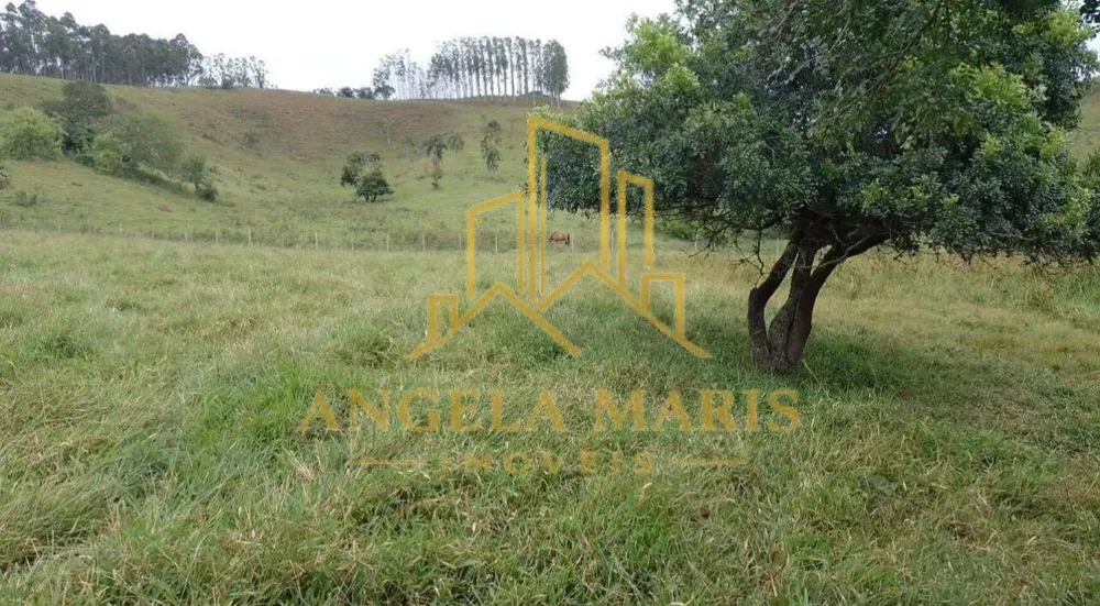 Chácara, 2 quartos, 1 hectares - Foto 10