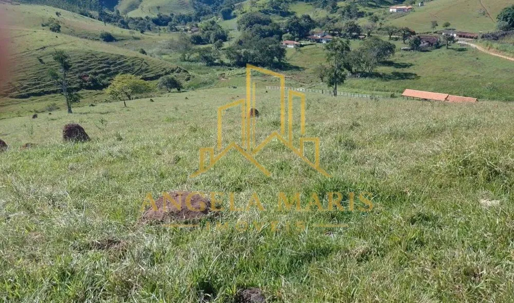 Chácara, 2 quartos, 1 hectares - Foto 12
