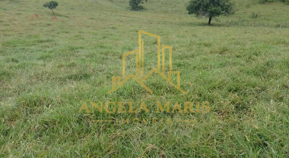 Chácara, 2 quartos, 1 hectares - Foto 9