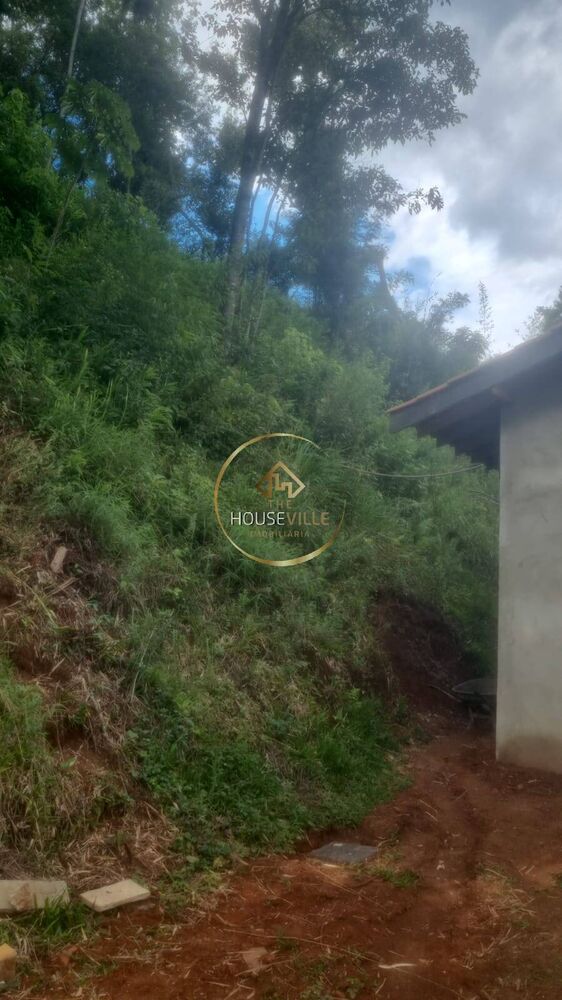 Sítio à venda com 4 quartos, 190m² - Foto 4