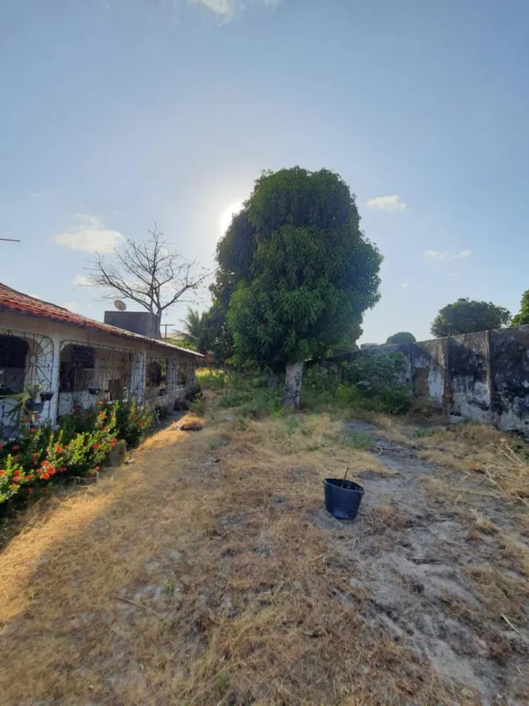 Terreno, 2115 m² - Foto 9