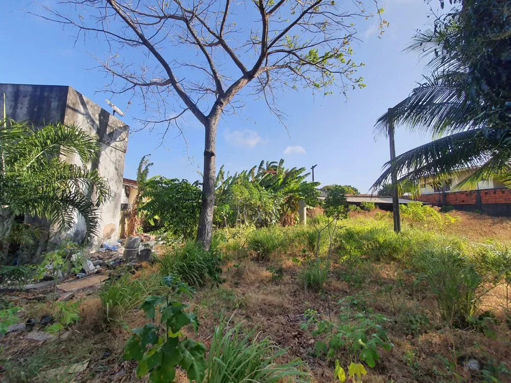 Terreno, 2115 m² - Foto 7