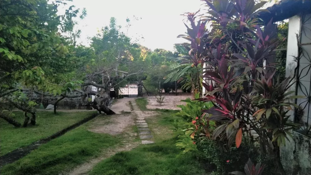 Sítio, 3 quartos, 2 hectares - Foto 3