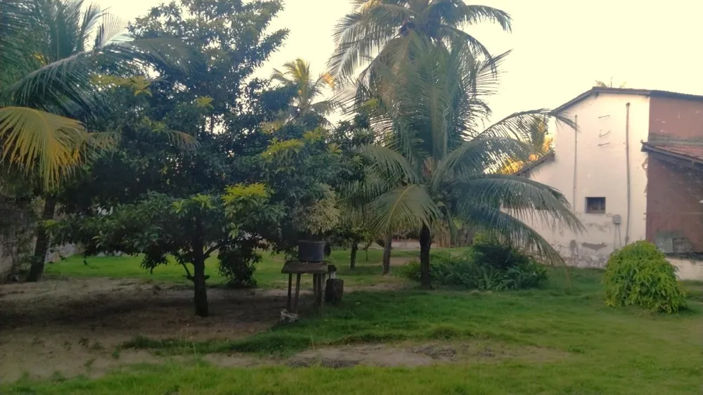 Sítio, 3 quartos, 2 hectares - Foto 9