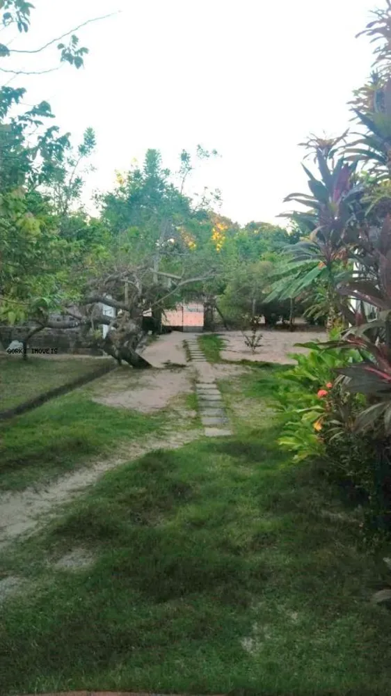 Sítio, 3 quartos, 2 hectares - Foto 6