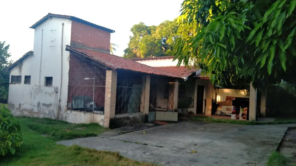Sítio, 3 quartos, 2 hectares - Foto 7