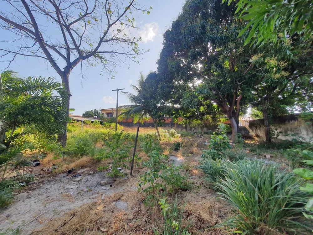 Terreno, 2115 m² - Foto 4